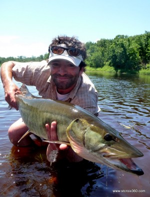 Toothy critter