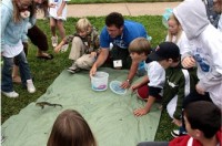 Amphibians of the St. Croix River valley