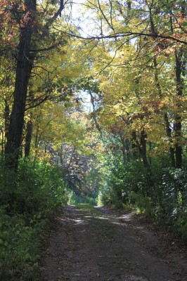 a path worth exploring essay a path worth exploring essay