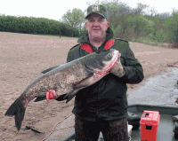 This 27 lb. Bighead carp was caught by commercial fishermen near Prescott on April 20. (MN DNR photo)