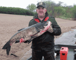 This 27 lb. Bighead carp was caught by commercial fishermen near Prescott on April 20. (MN DNR photo) This 27 lb. Bighead carp was caught by commercial fishermen near Prescott on April 20. (MN DNR photo)