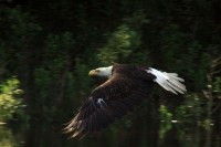 John Kaul photo