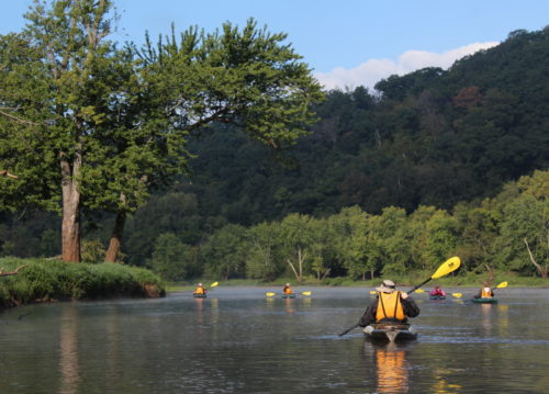 Kayaking St. Croix River backwaters