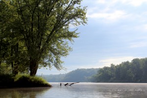 A beautiful view on the St. Croix River A beautiful view on the St. Croix River