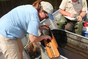 st-croix-river-fish-sampling