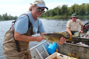 St. Croix River fish sampling smallmouth bass St. Croix River fish sampling smallmouth bass