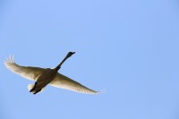 IMG_3758