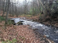 Brown's Creek