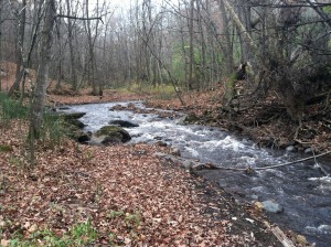 Brown's Creek