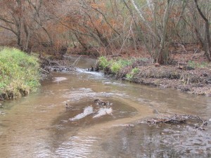 Valley Creek