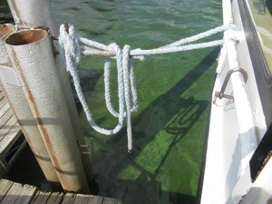 The smelly green water that results from too much phosphorus and other nutrients. (Photo courtesy Washington Conservation District)