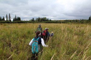 Exploring the beaver ponds – and possible brook trout habitat – of the upper Namekagon River watershed.