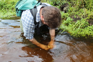 Patrick Shirey replaces a temperature logger in a spring-fed tributary of the Namekagon River