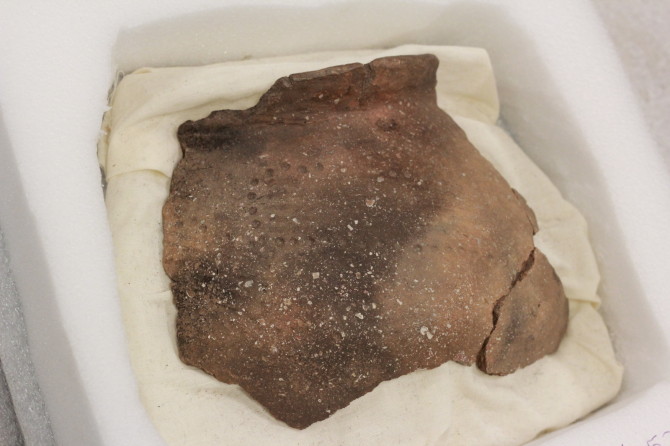 Oneota pottery fragment from the Sheffield Site.
