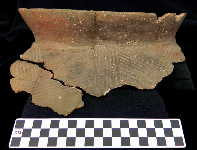 Oneota pottery from the Sheffield Site (Photo courtesy Science Museum of Minnesota)