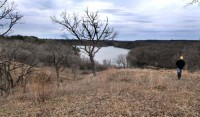 Restoration area at Belwin Conservancy