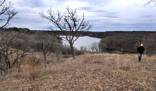 Prairie restoration has no place for pines