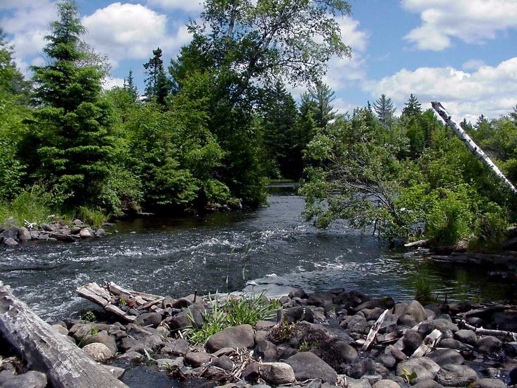 Namekagon River Memory Day