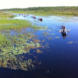 Coming to Cutaway Bridge
