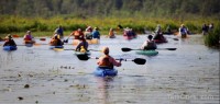 Canoes and kayaks on the upper St. Croix River (Pioneer Press photo)