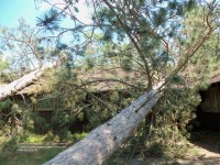 Storm damage to dining hall at St. John's Landing in St. Croix State Park
