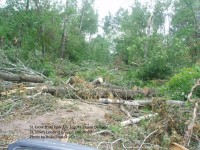 Trees blocking the road to St. John's Group Camp at St. Croix State Park