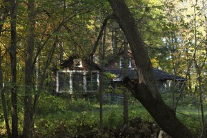 The bungalow. The bungalow.