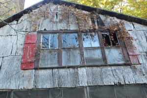 Bark siding Bark siding