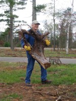 Citizen steward Jim Mallman clearing a stump at Riverside Landing on Friday 10/14.