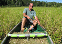 Dr. Anthony Kern harvesting wild rice. Dr. Anthony Kern harvesting wild rice.
