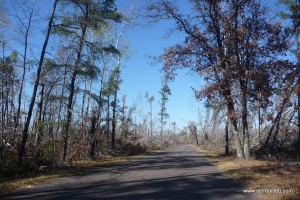 Storm damage at St. Croix State Park, October 2011