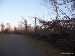 Storm damage at St. Croix State Park, October 2011, photo by Katie Seitz