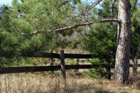 Fairy Falls fence