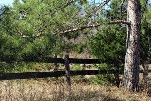 Fairy Falls fence