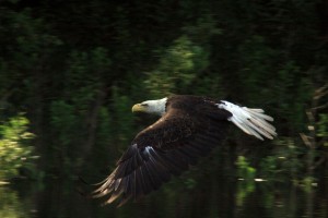 John Kaul photo