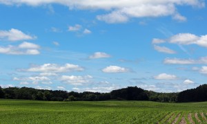 Field and sky, Marine on St. Croix