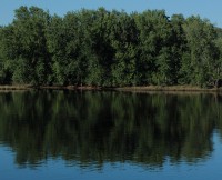 River reflection