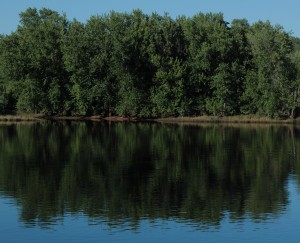 River reflection
