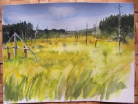 Bog Fen Research Site, by Kathleen Heideman