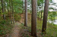 A day in the life of an artist-in-residence at Pine Needles Pine Needles Property