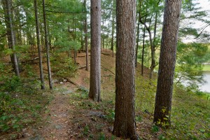 Pine Needles Property Pine Needles Property