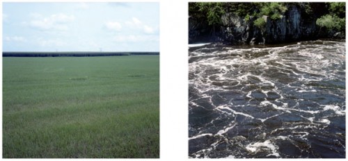 Food and Water, by David Luke