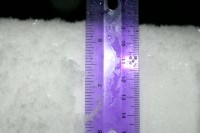 Eight-and-a-half inches, Bailey Tepoorten