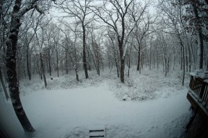 Snowy woods, August Fritze