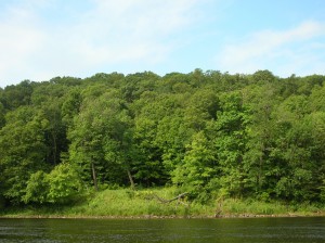 St. Croix River banks