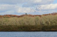IMG_6619