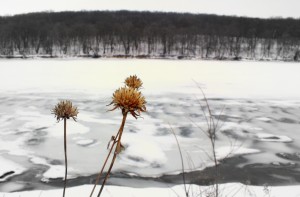 Winter color
