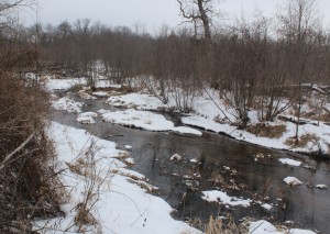 Spring Creek