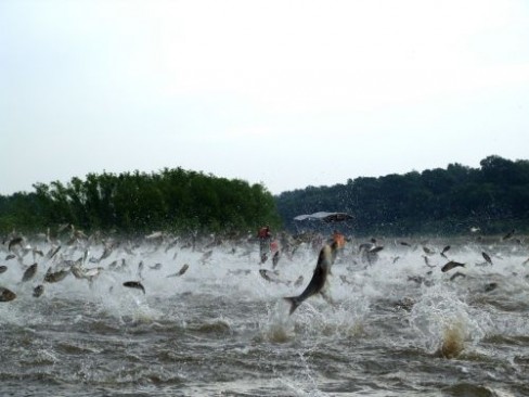 Illinois River Biological Station photo