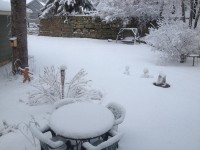 Gardening in the Snow